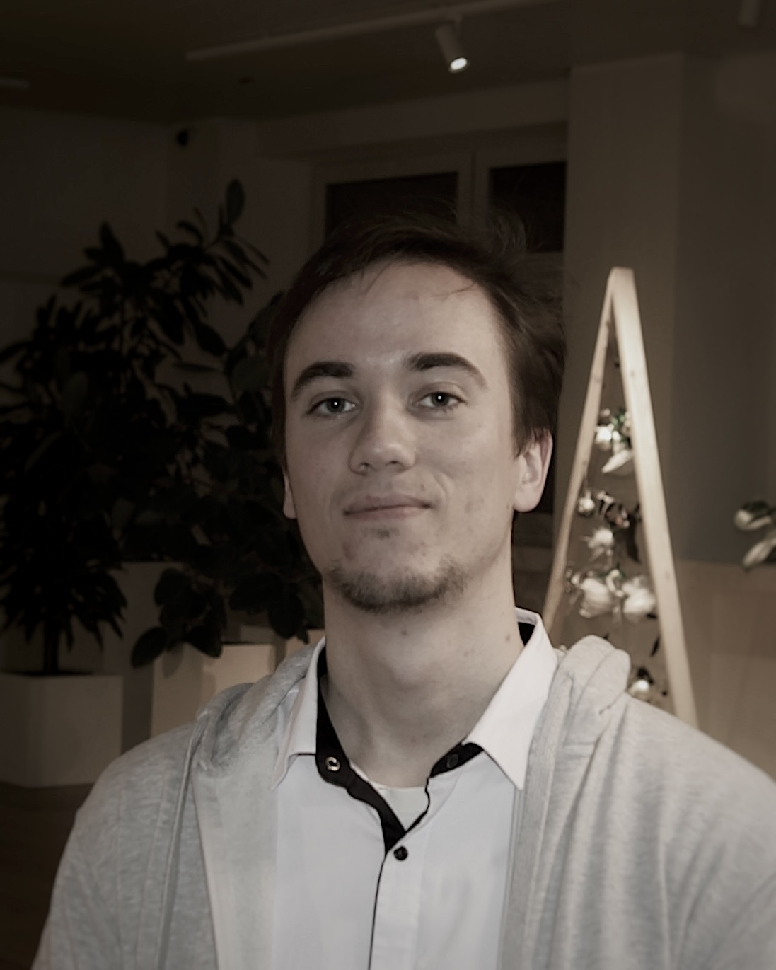 Povilas Mikalauskas
