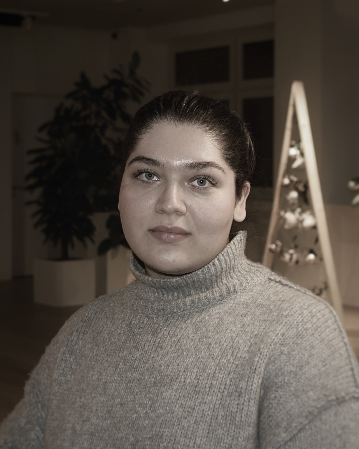 Shabnam Seyf Aghayi